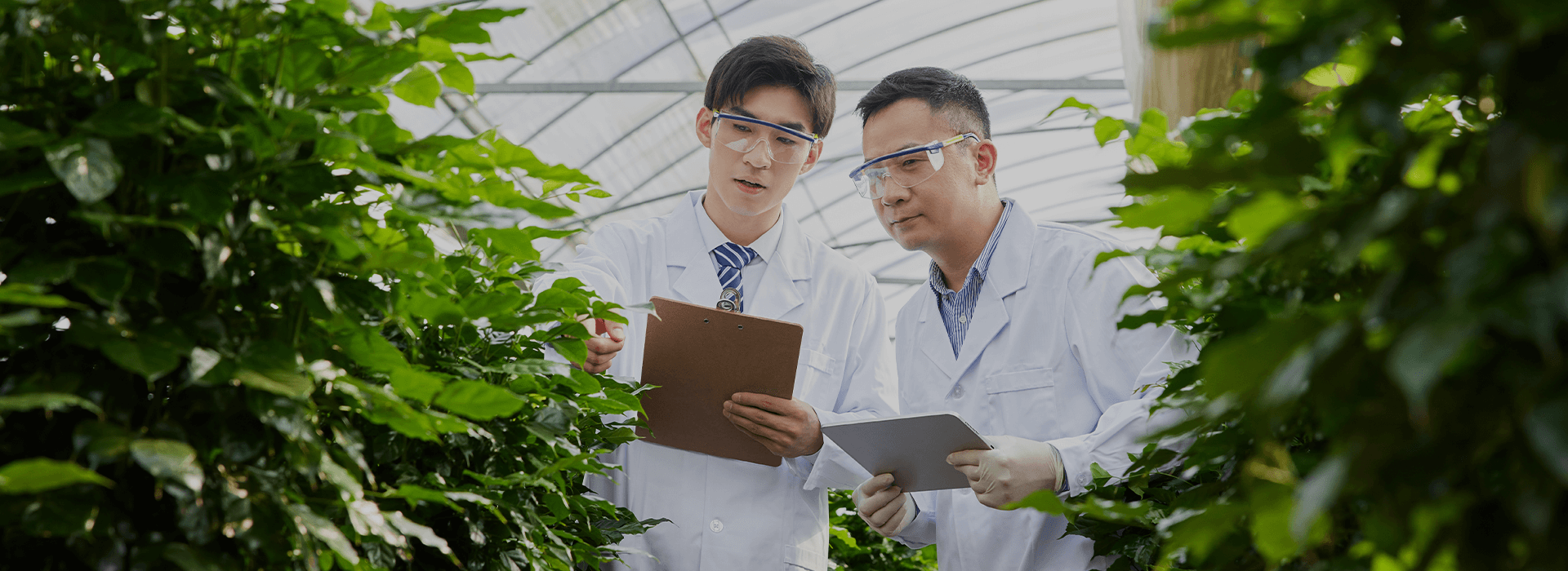 企業(yè)新聞